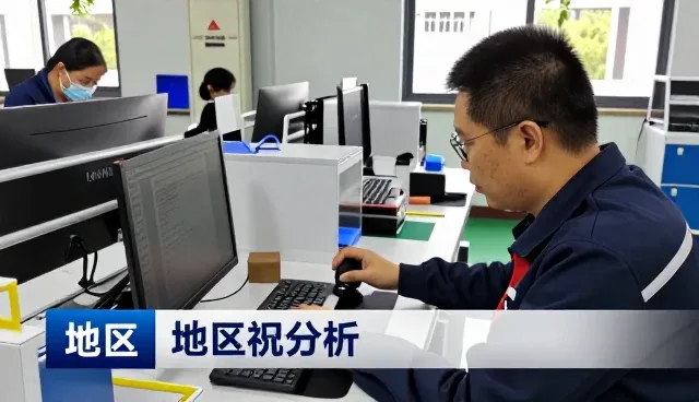 项目咨询有哪些应用方式?
