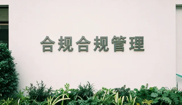 财税流程再造方案如何应对地区差异问题